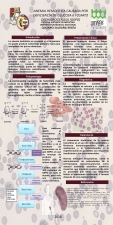 04 Anemia Hemolítica DG6FD