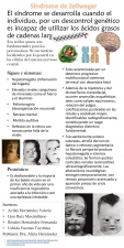 11 Sindrome de zellweger 3